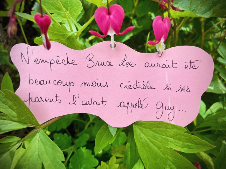 La phrase qui me parle du 7 juin 2024!
