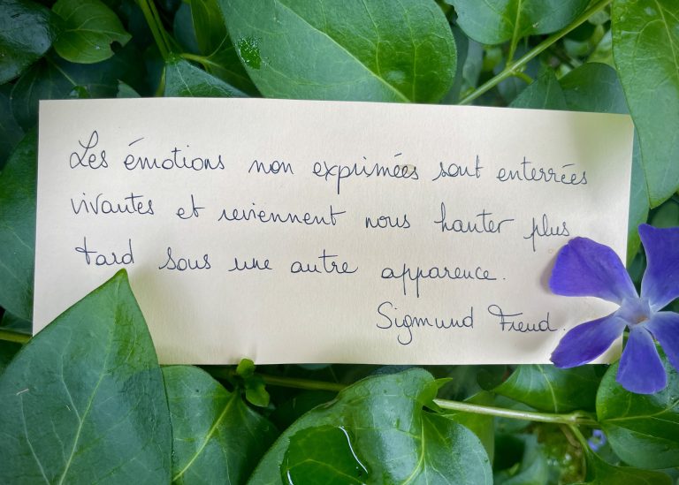 La phrase qui me parle du 4 juin 2024!
