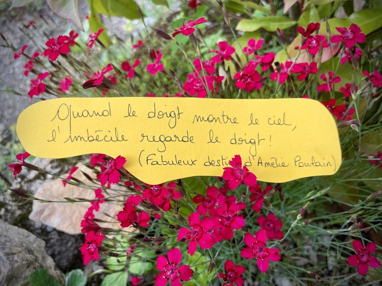 La phrase qui me parle du 25 juin 2024!