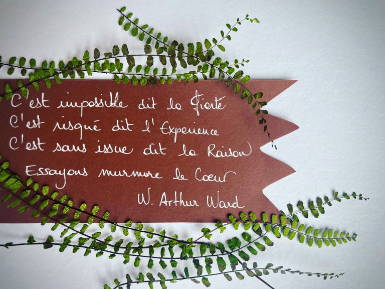La phrase qui me parle du 22 juillet 2024!