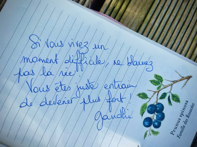La phrase qui me parle du 9 août 2024!
