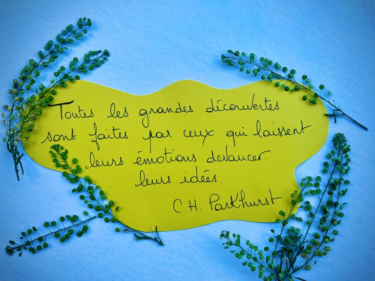 La phrase qui me parle du 16 août 2024!