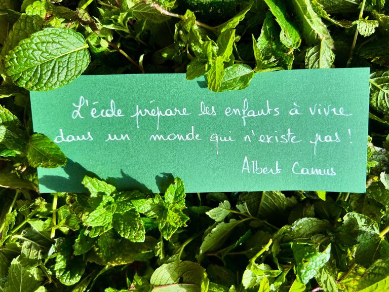 La phrase qui me parle du 19 novembre 2024