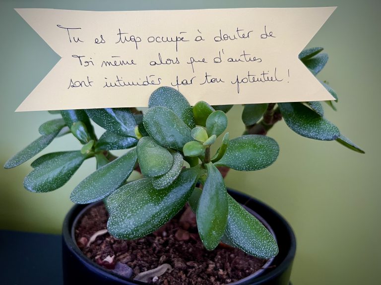 La phrase qui me parle du 22 novembre 2024