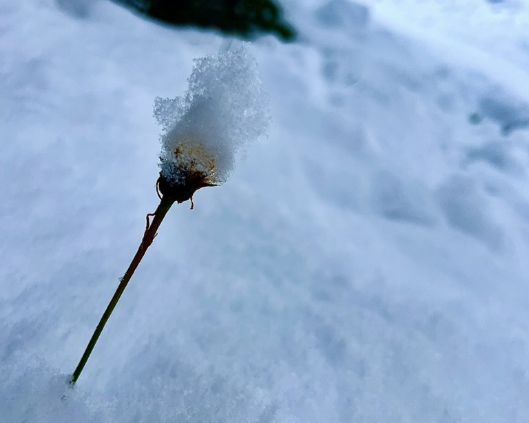 L’hiver est là, un de plus…