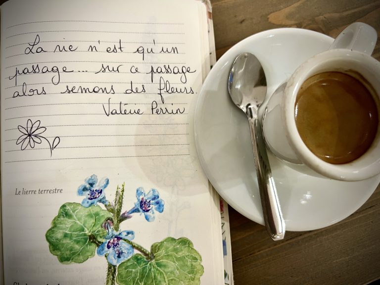 La phrase qui me parle du 12 décembre 2024!