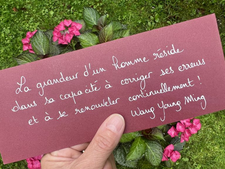 La phrase qui me parle du 29 juillet 2025